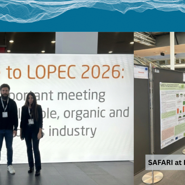 your paragraph text (40)